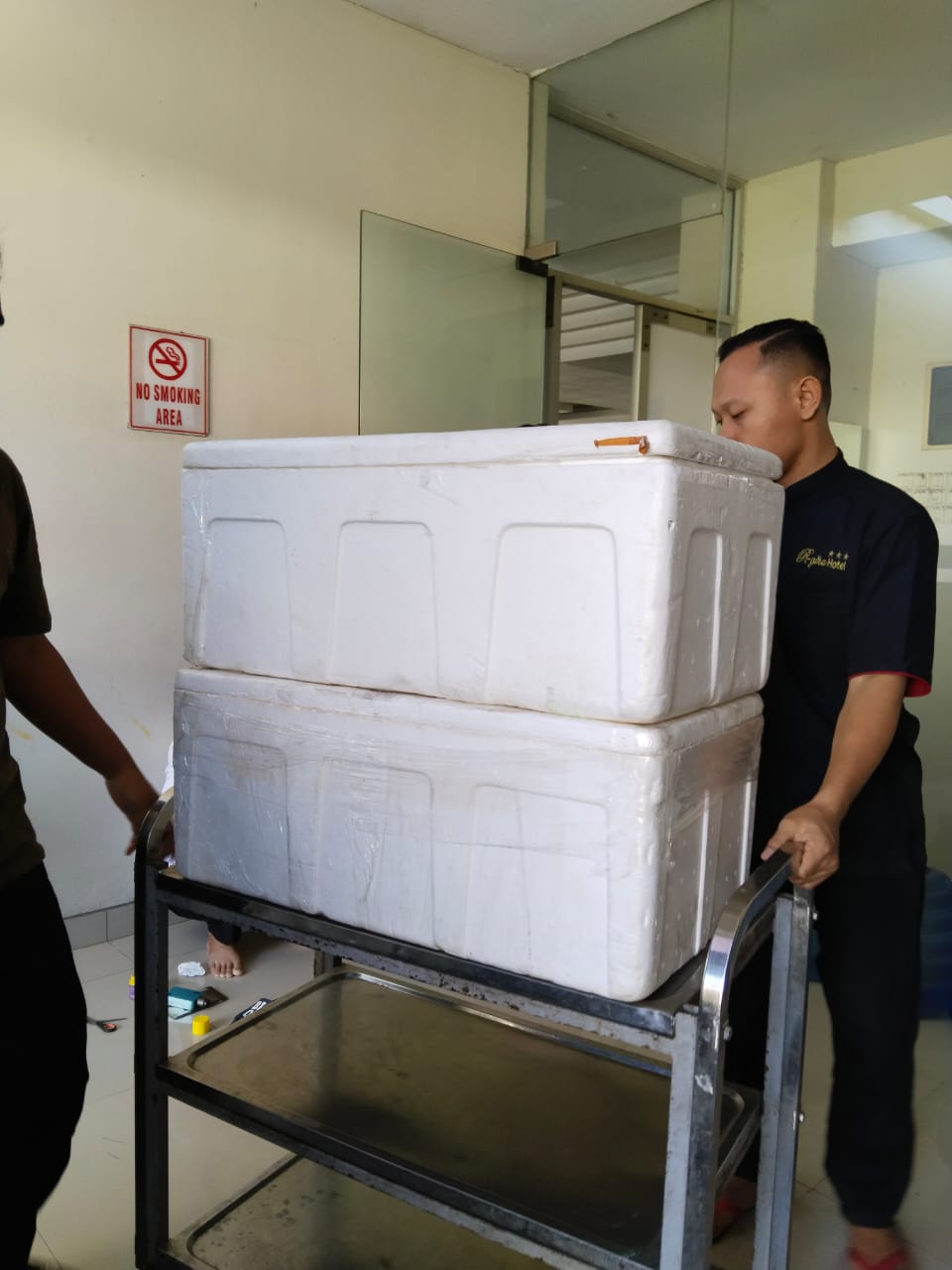 Produk cumi tube kualitas premium untuk supply bisnis